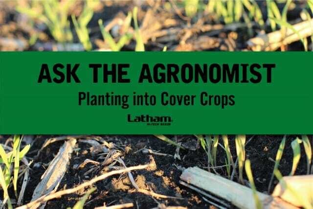 Ask the Agronomist: Planting into Cover Crops