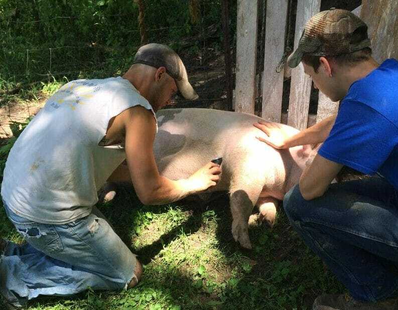 Past and Present Cambridge FFA Members Work Together