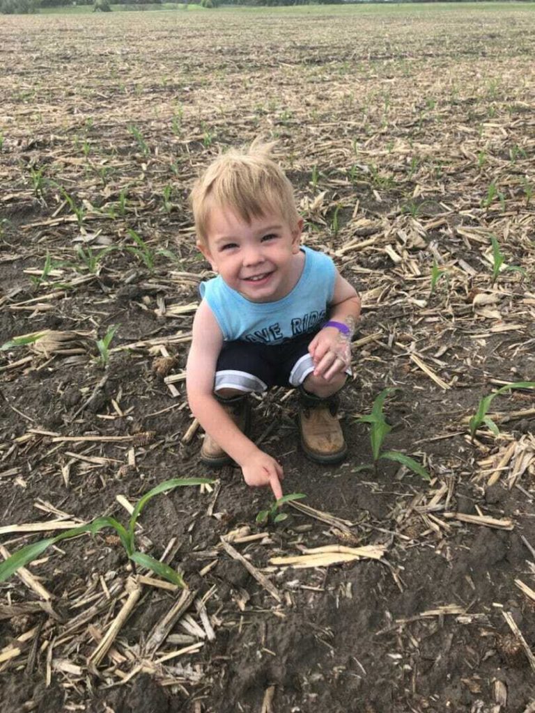 June 12, 2019 Crop Report