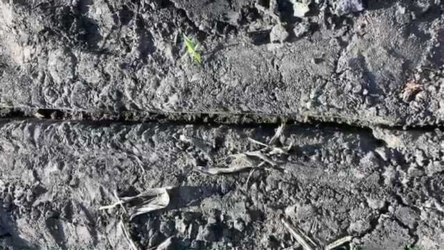 Factors of Sidewall Compaction