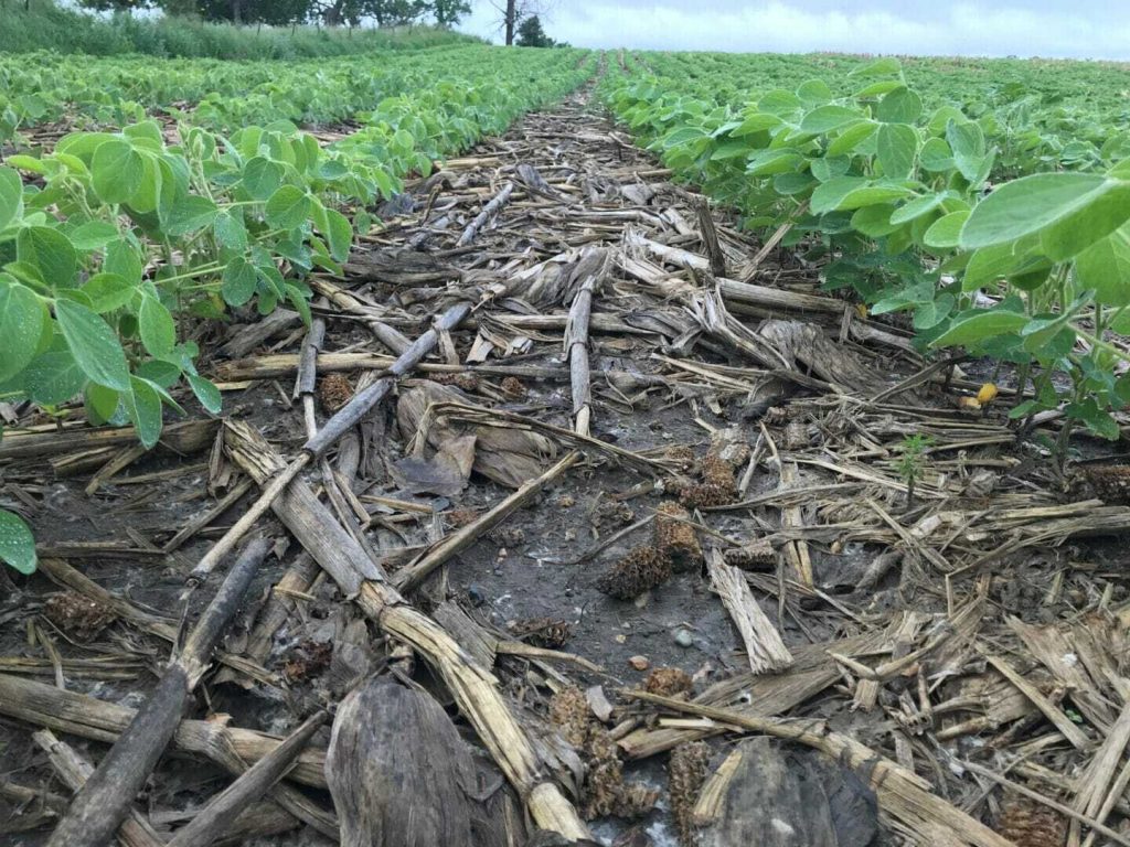 Ask the Agronomist—Weed Control