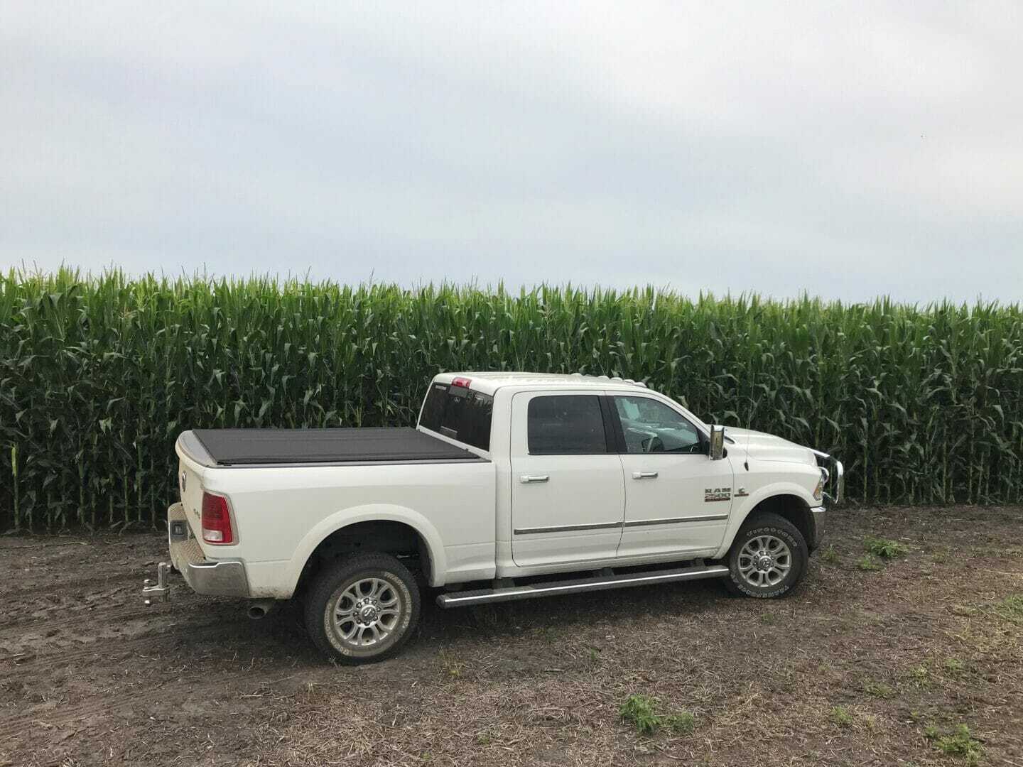 Northeast South Dakota Leafy has 10 leaves above the ear Latham Seeds Crop Report 080719