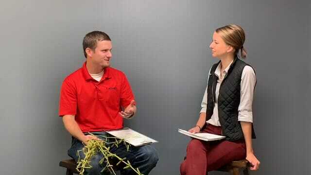 Ask the Agronomist: Projecting Soybean Yield