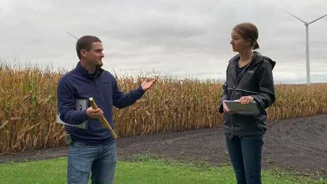 #AskTheAgronomist: Find the Ideal Planting Population