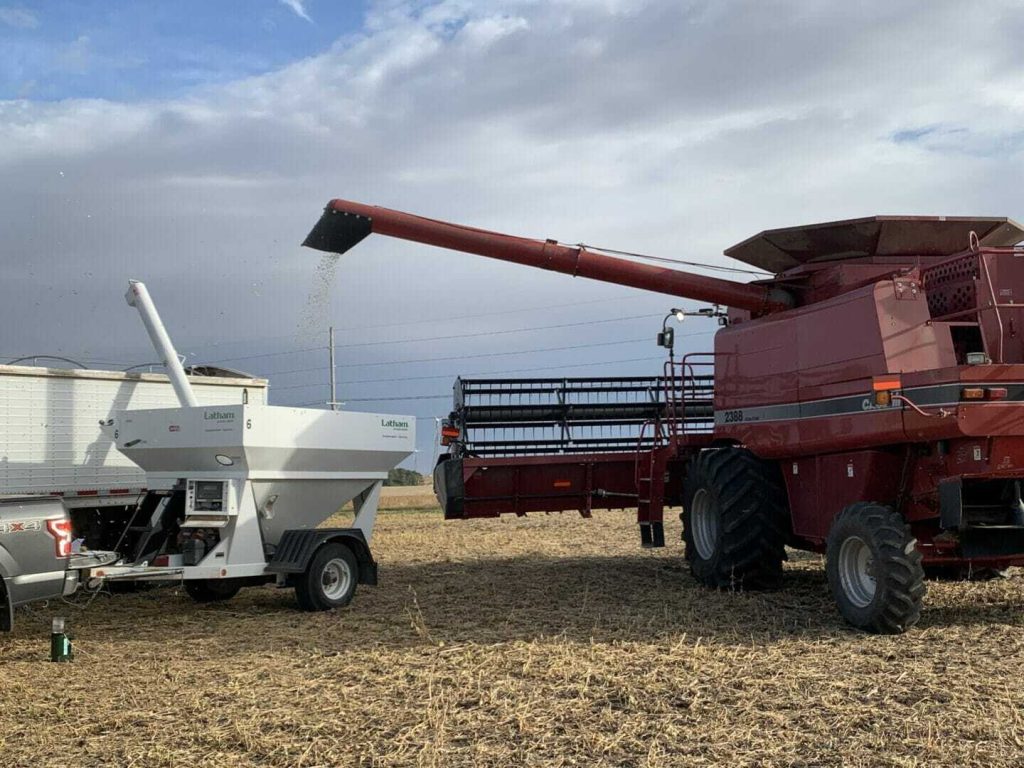 October 16, 2019 Crop Reports