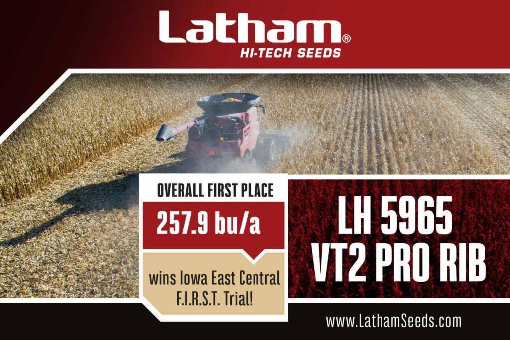 Latham Seeds Yield Highlights