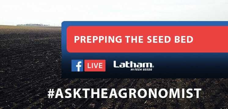 Ask The Agronomist: Prepping The Seed Bed