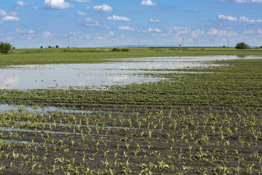 Flooding and Saturated Soils