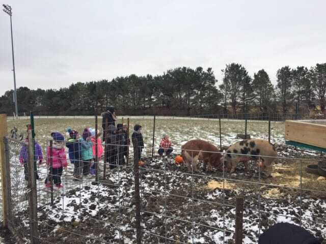 Students at hog area