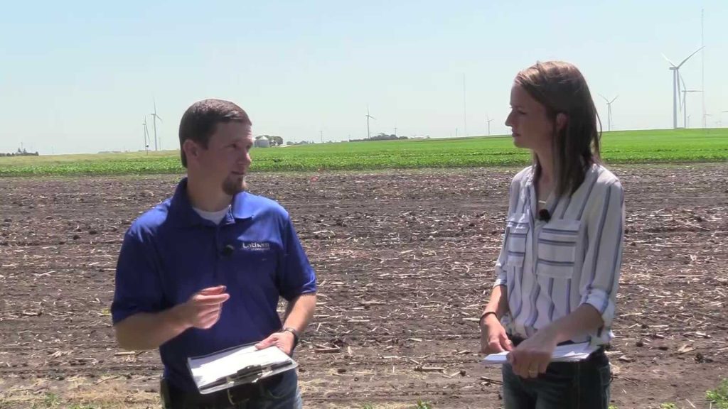 Ask The Agronomist: Early Season Pests