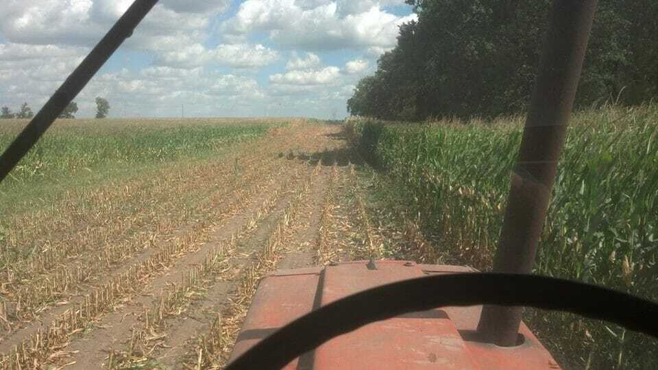 Chopping silage in the 1486