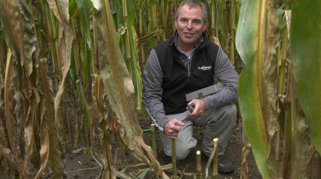 Corn Silage Testing with Corey Catt