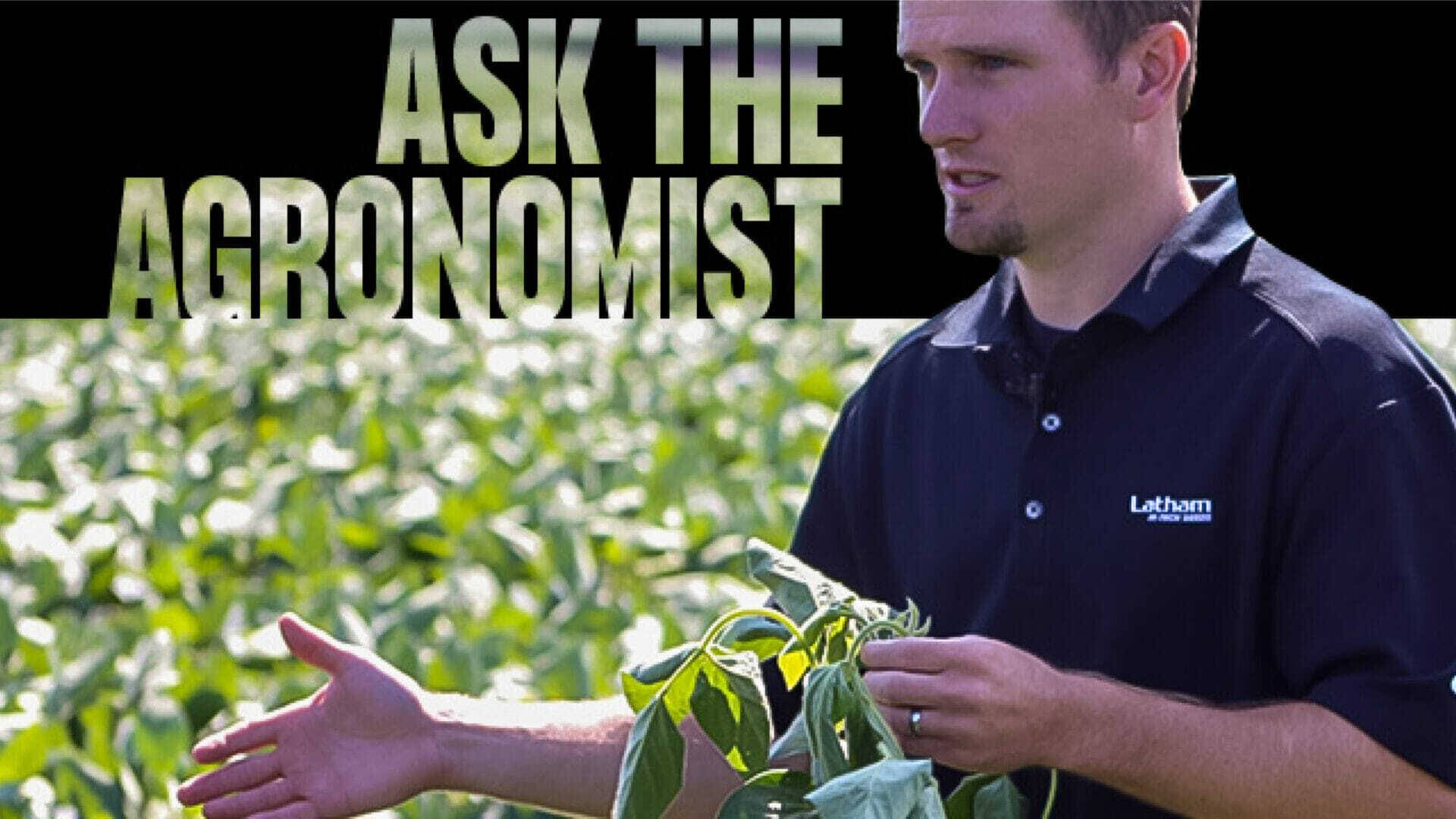 Ask the agronomist cover photo for video 01