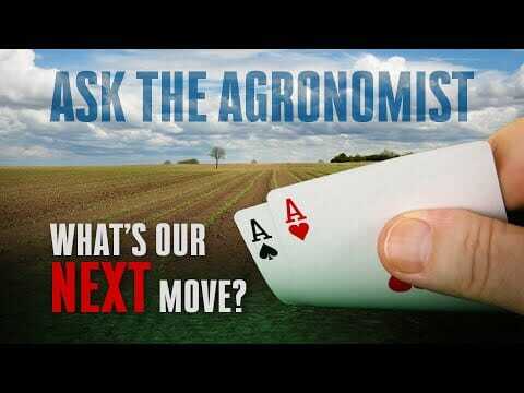 #AskTheAgronomist: What’s Our Next Move?