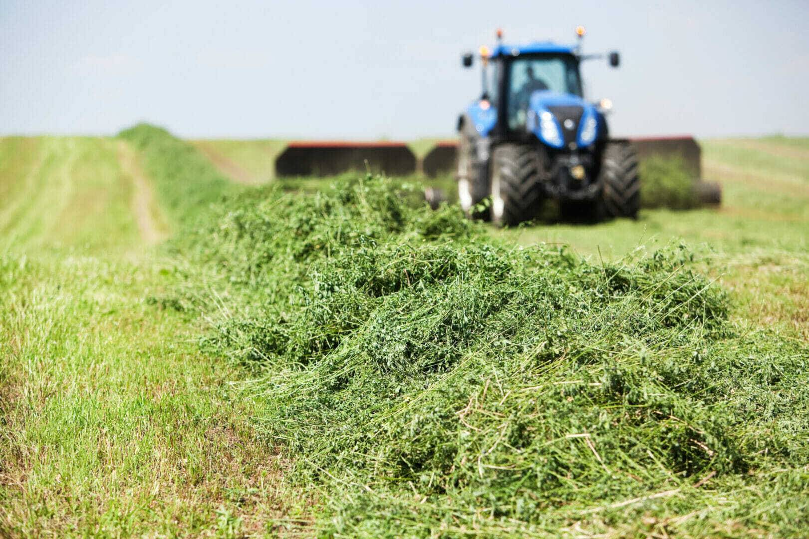 Tractor Towing Merger on Cut Alfalfa (Hay) Field