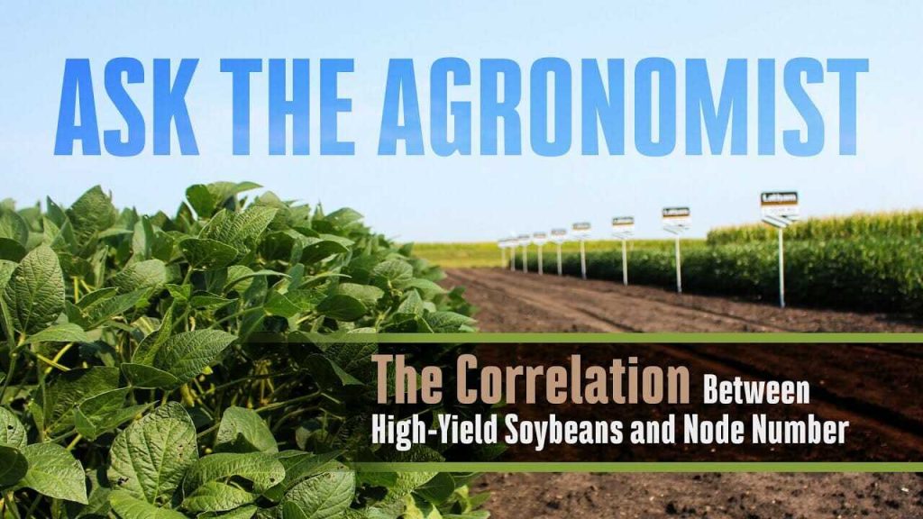 #AskTheAgronomist: High-Yield Soybeans and Node Count