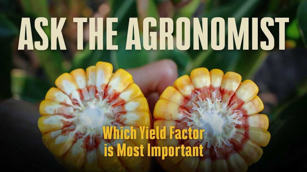 #AskTheAgronomist: Which Yield Factor is Most Important?