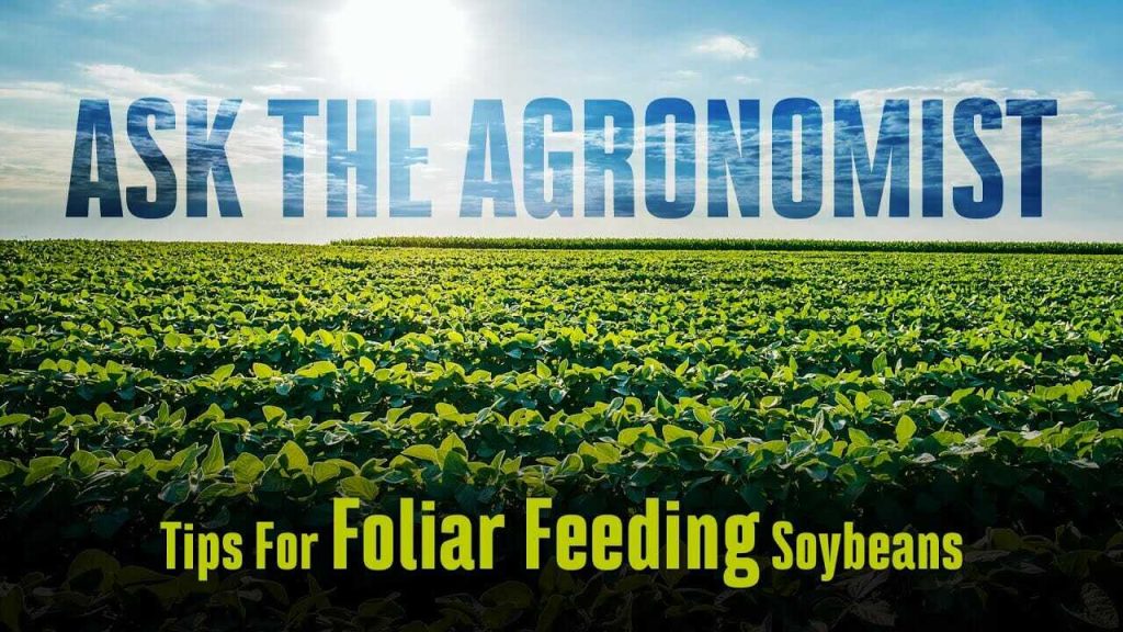 #AskTheAgronomist: Foliar Feeding Soybeans