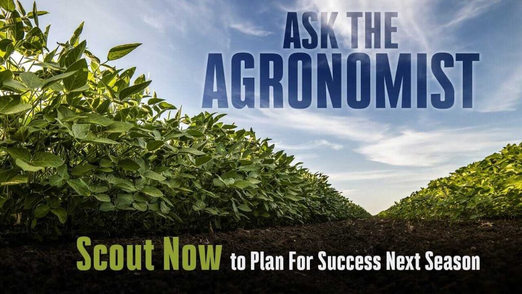 #AskTheAgronomist: Late-Season Scout Now to Create Success Next Season