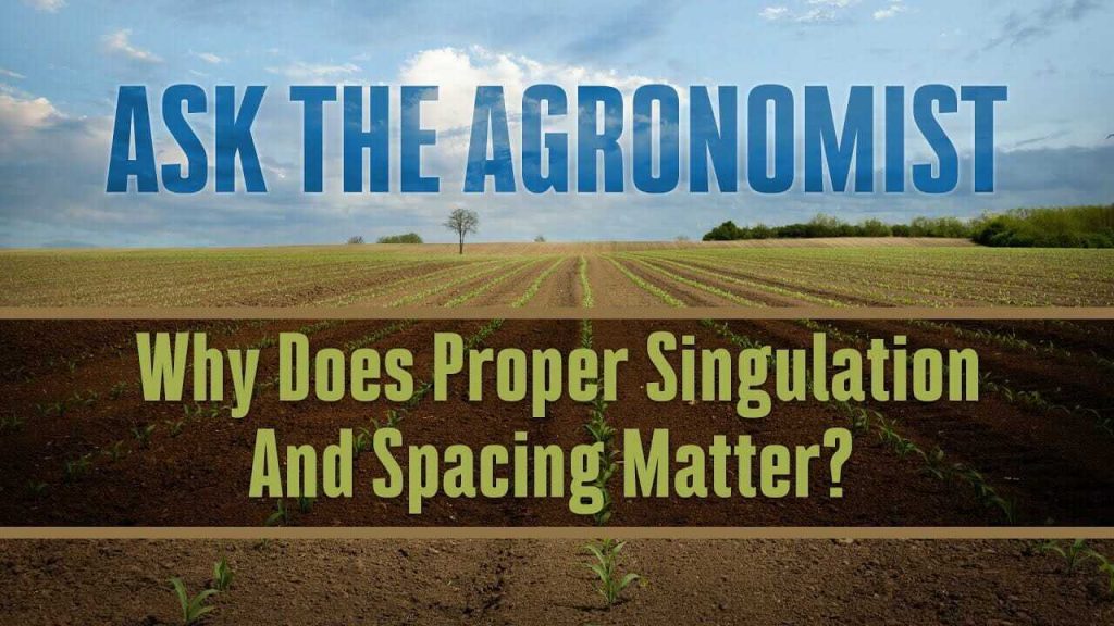 #AskTheAgronomist: How Does Singulation and Emergence Affect Yield