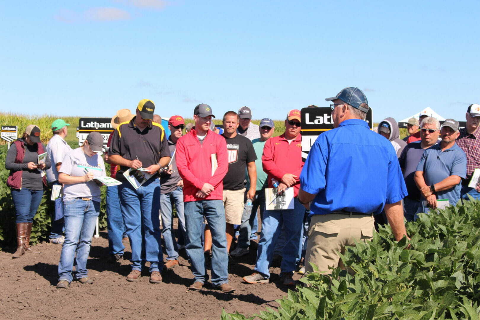 Latham Soybeans