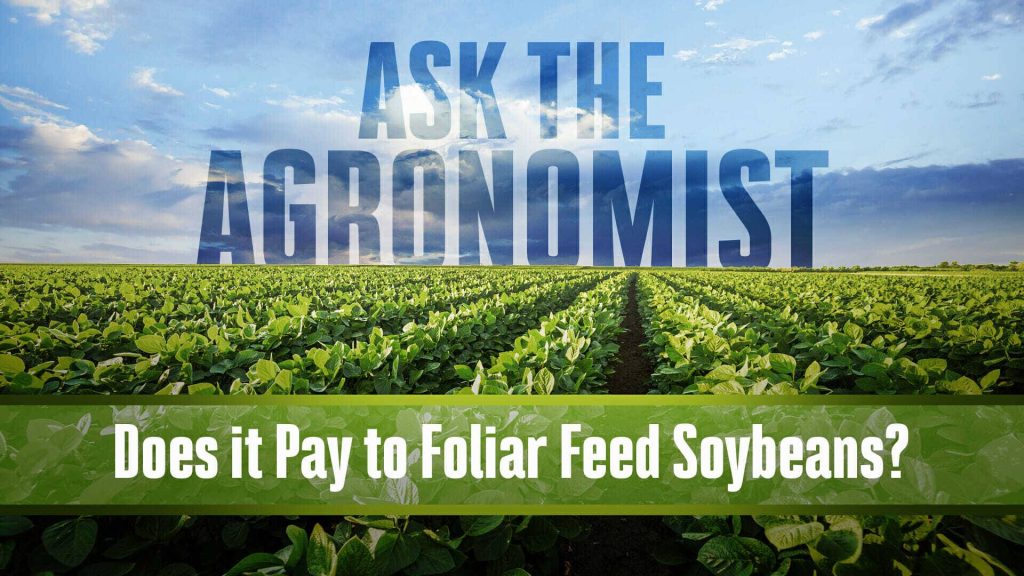 Does it Pay to Foliar Feed Soybeans?