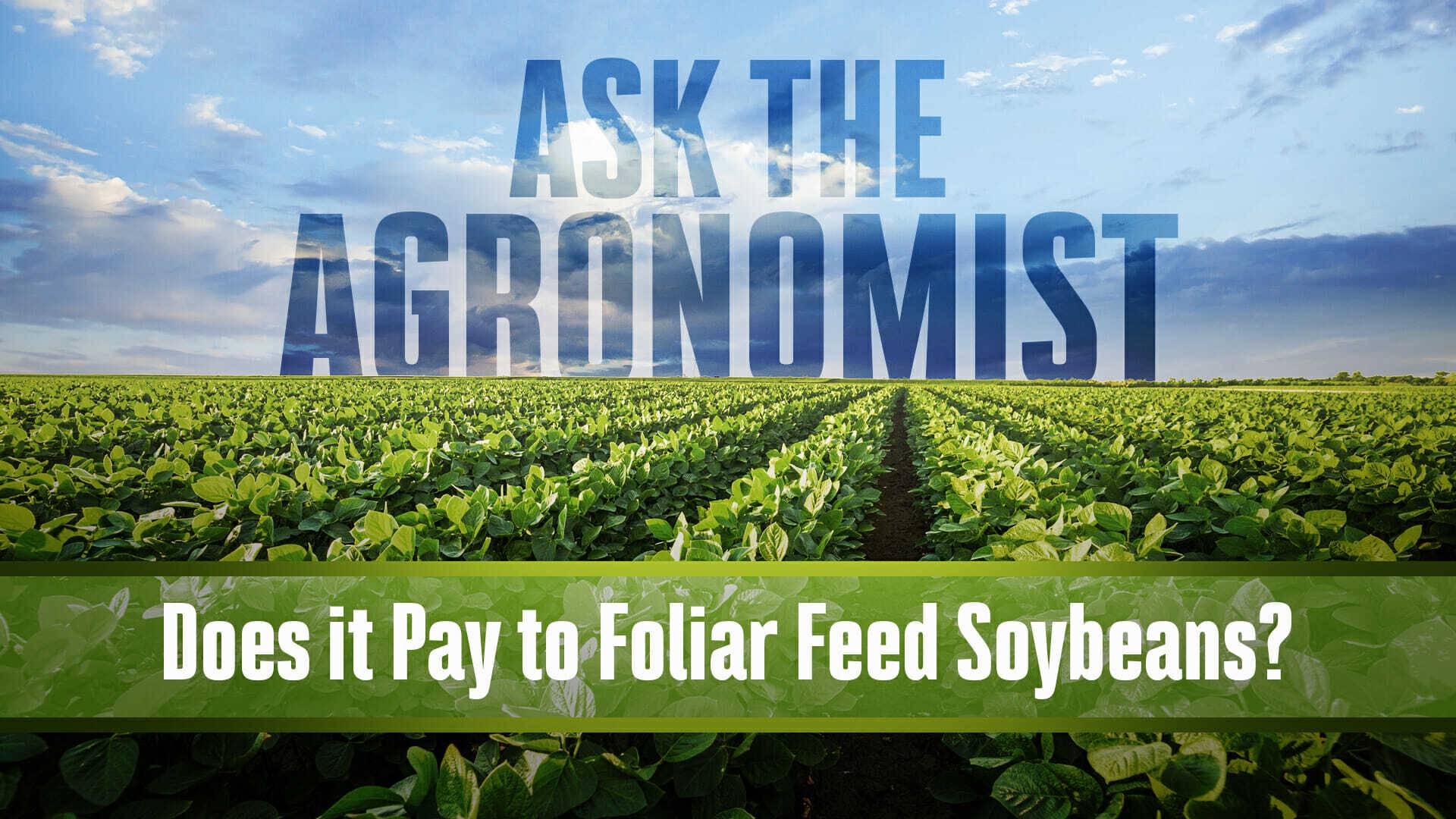 Ask the agronomist foliar feed soybeans