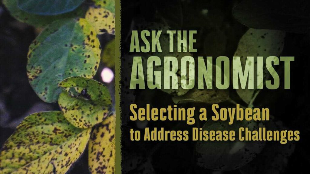 #AskTheAgronomist: Selecting Soybeans to Address Disease Challenges