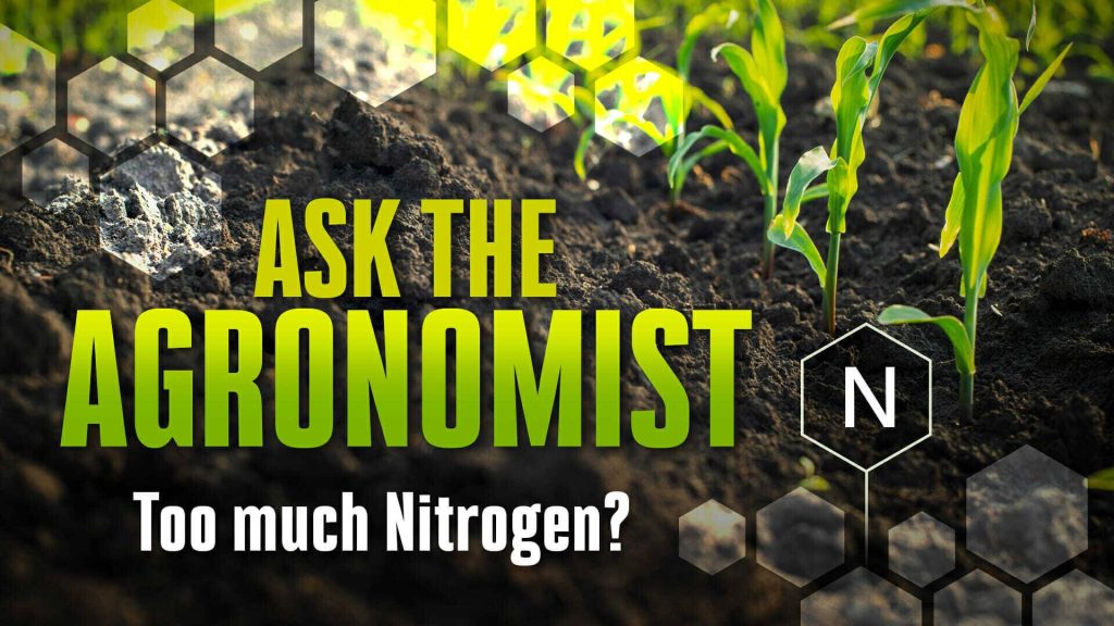 #AsktheAgronomist – Too Much Nitrogen?