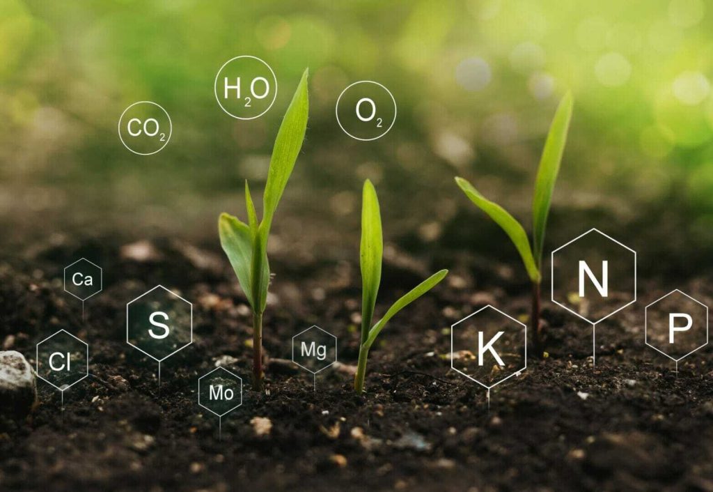 Balanced Fertility to Optimize Yield