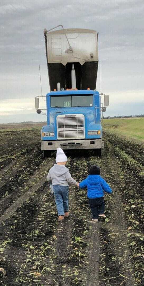 Kids Farming 2