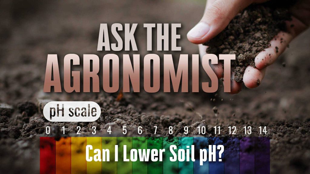 #AsktheAgronomist – Can I Lower Soil pH?