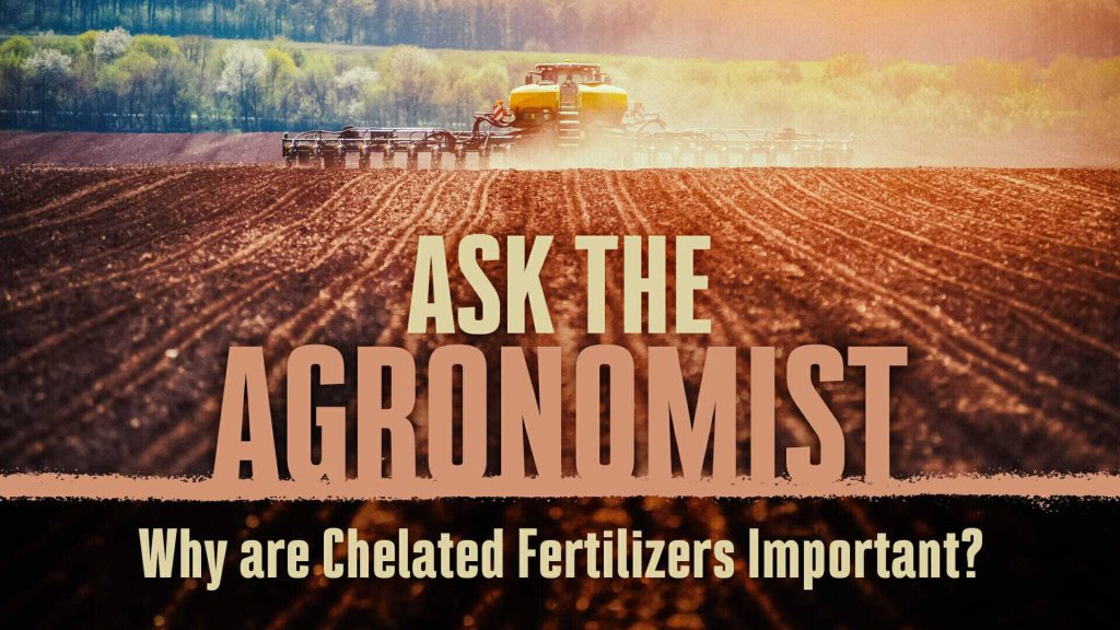 #AsktheAgronomist – Why are Chelated Fertilizers Important