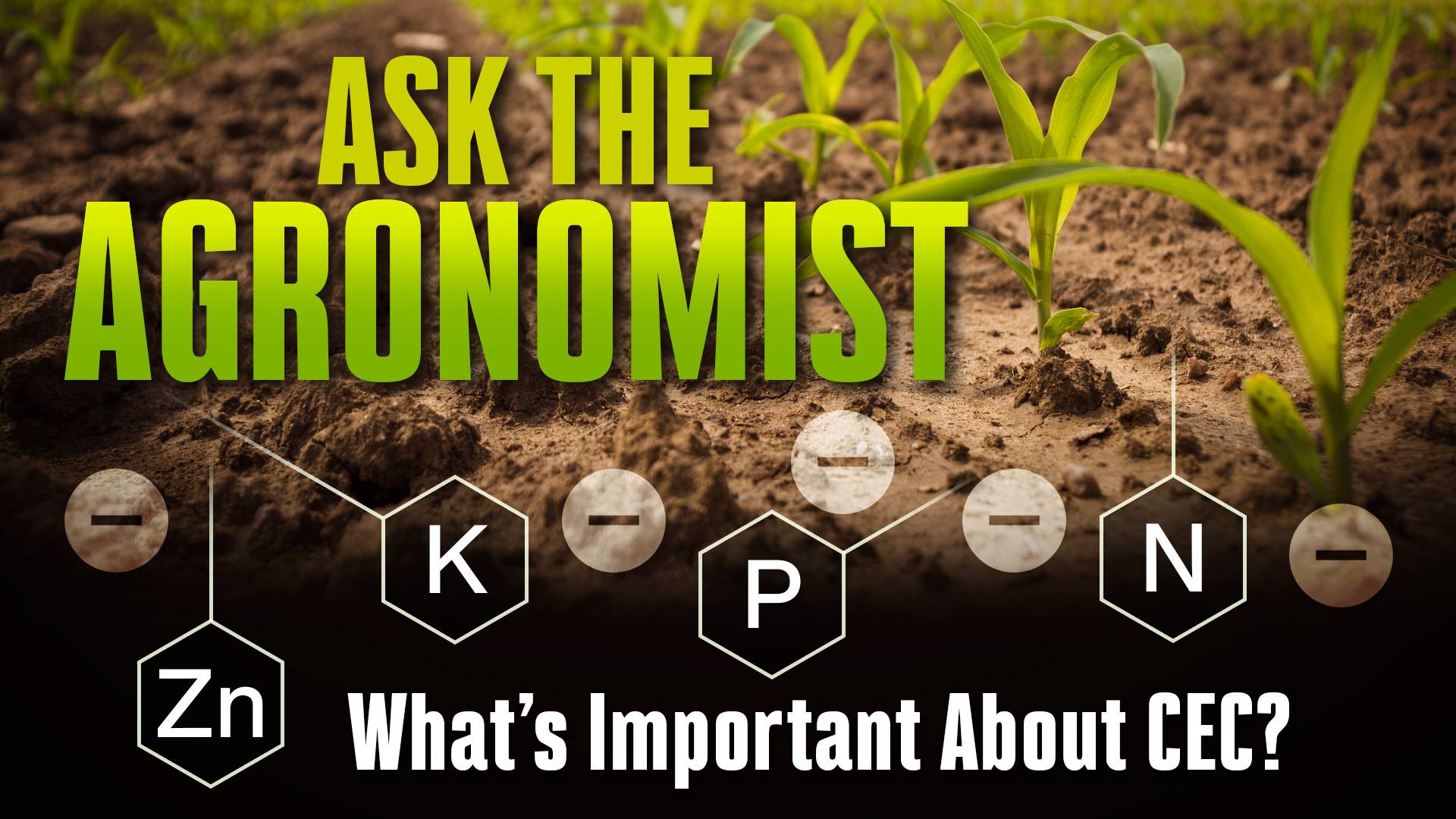 Ask the agronomist whats important about CEC