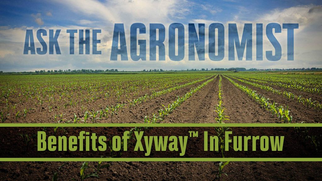 #AsktheAgronomist – What is Xyway™ Fungicide?