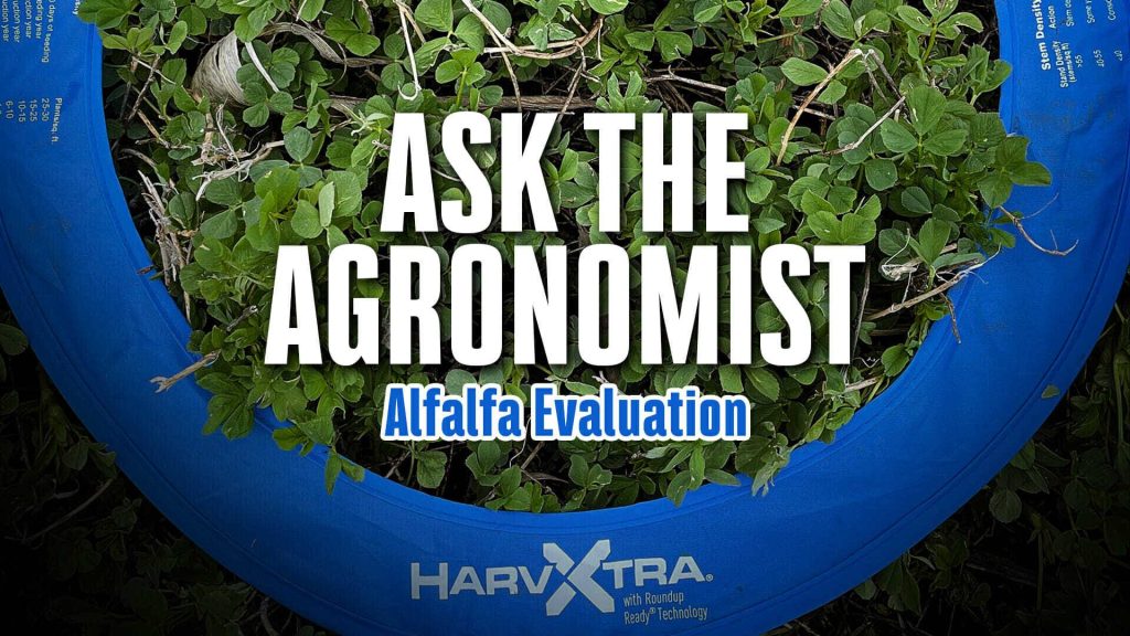 #AsktheAgronomist – Alfalfa Evaluation