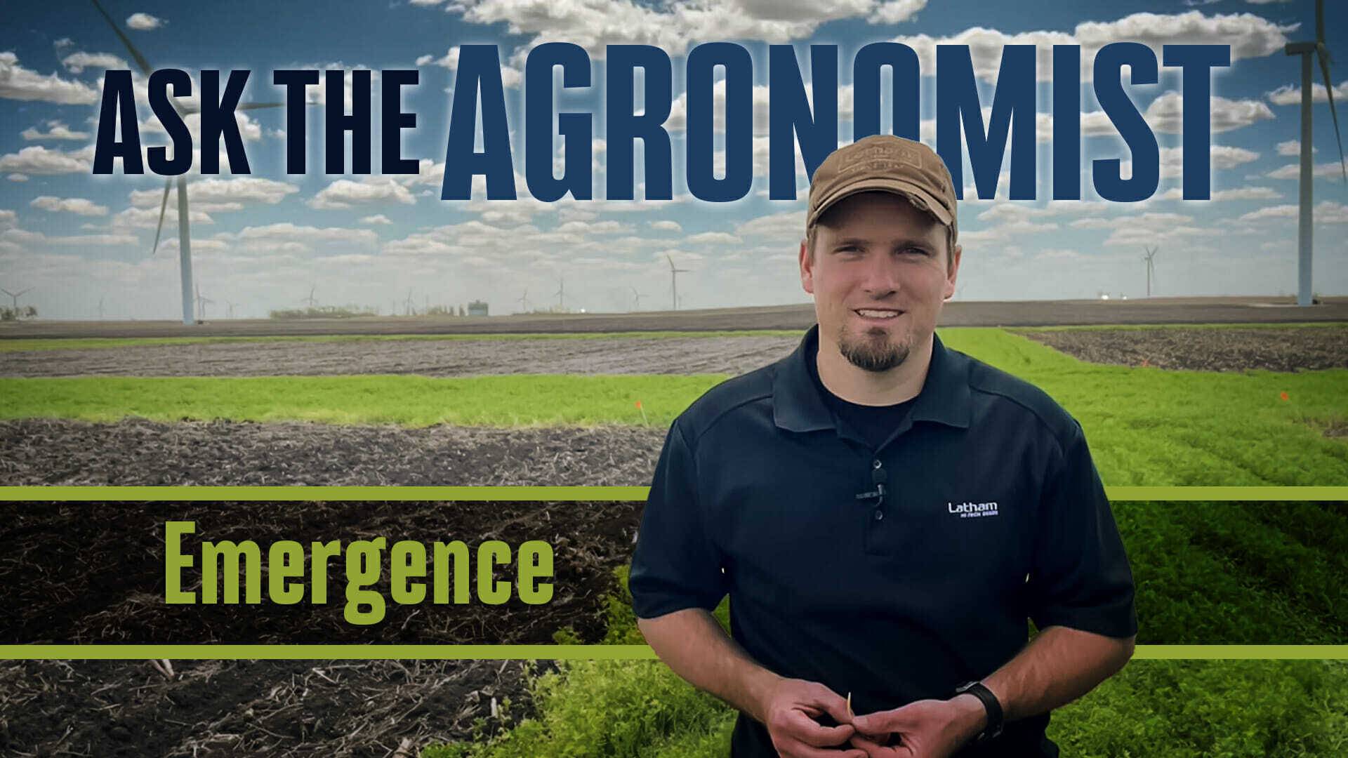 Ask the agronomist emergence