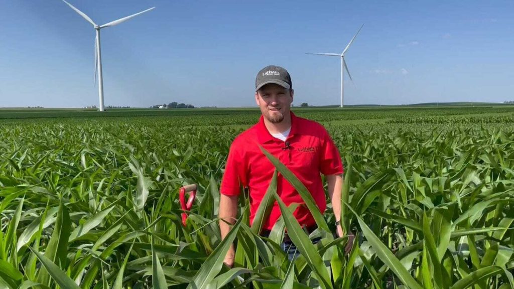 Tissue Test for Better Yields