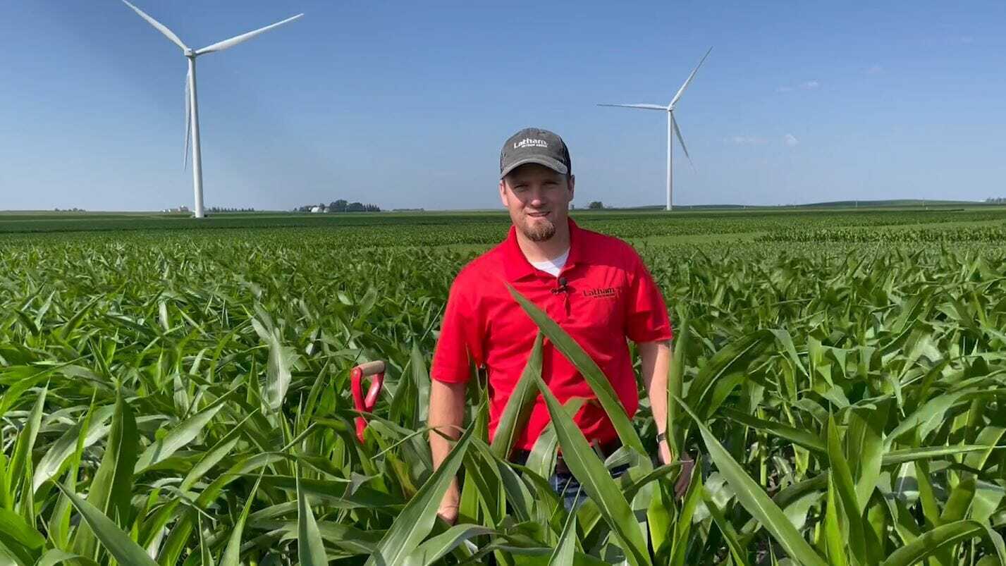 Phil Corn in late June