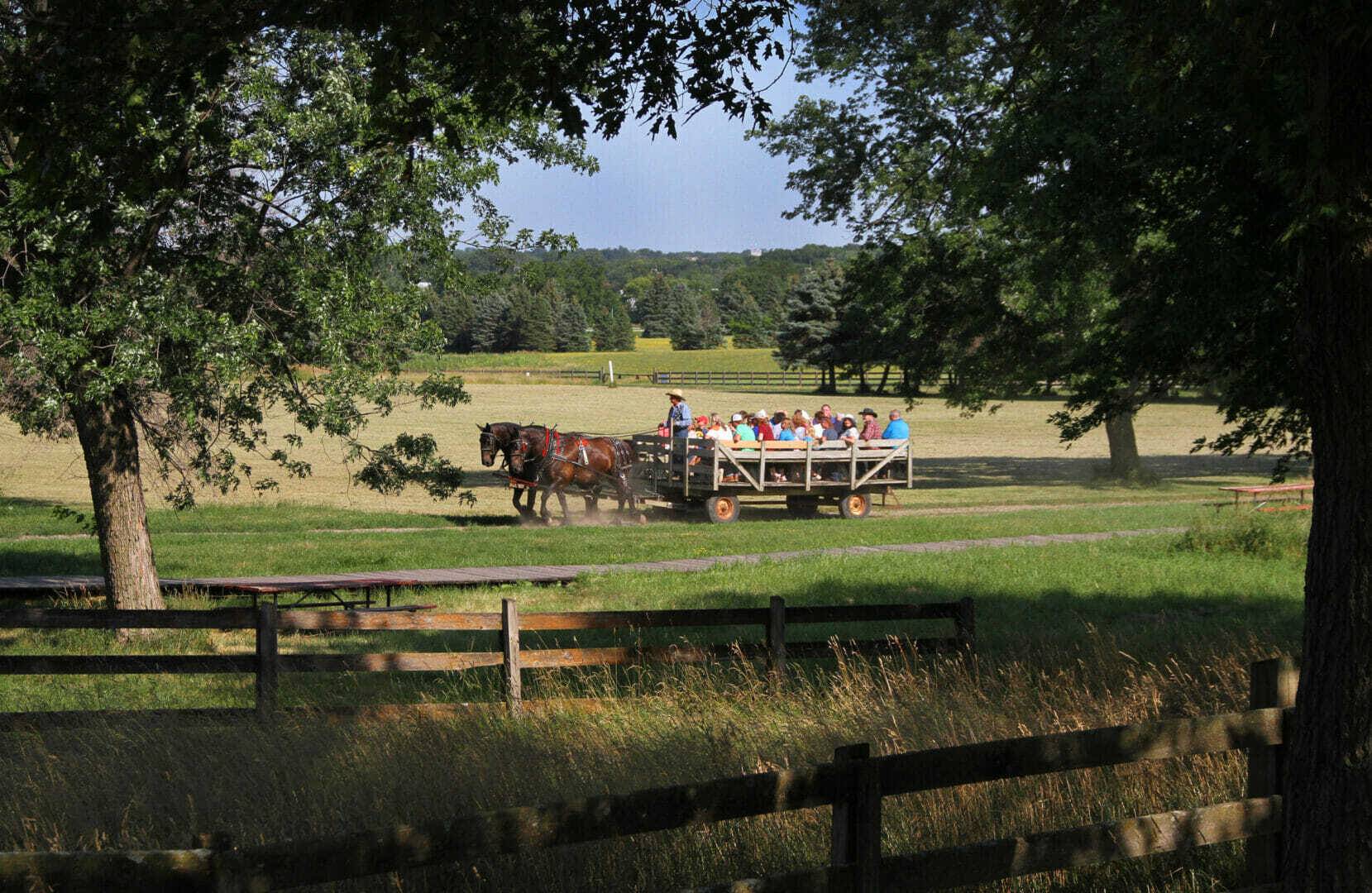 LHF wagon ride