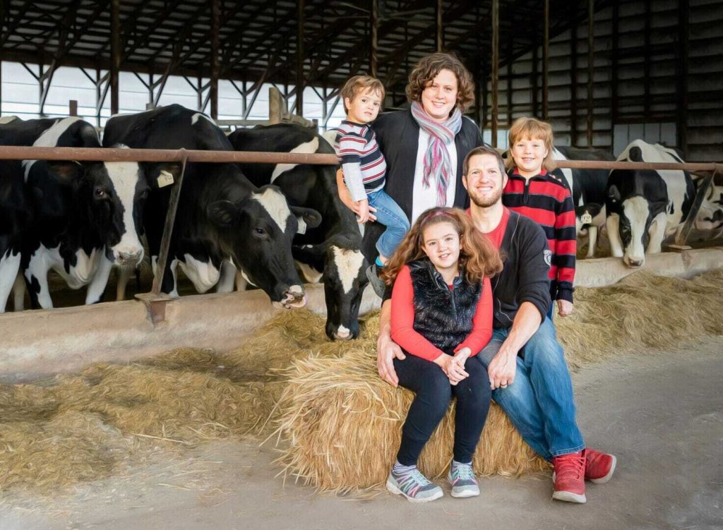 Celebrate Summer by Cow Gazing and Enjoying Ice Cream