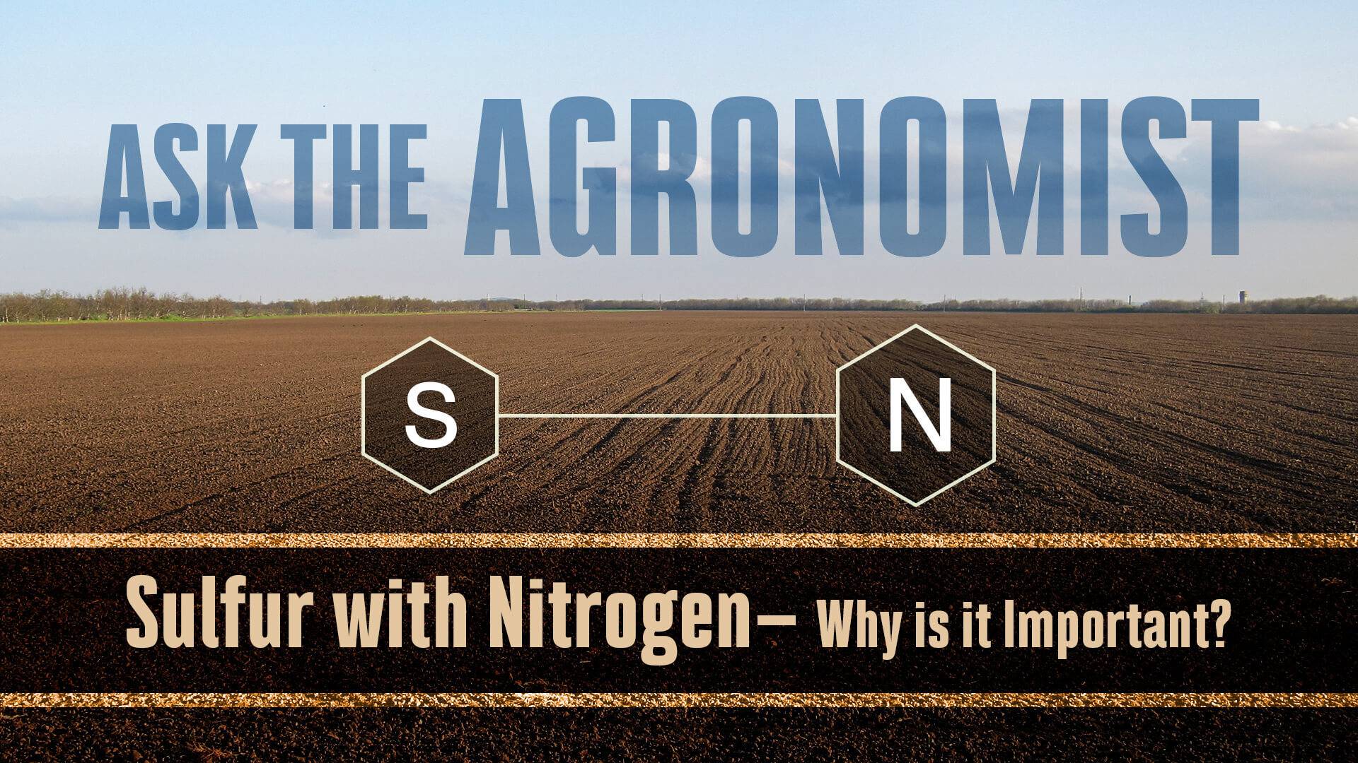 Ask the agronomist sulfur with nitrogen