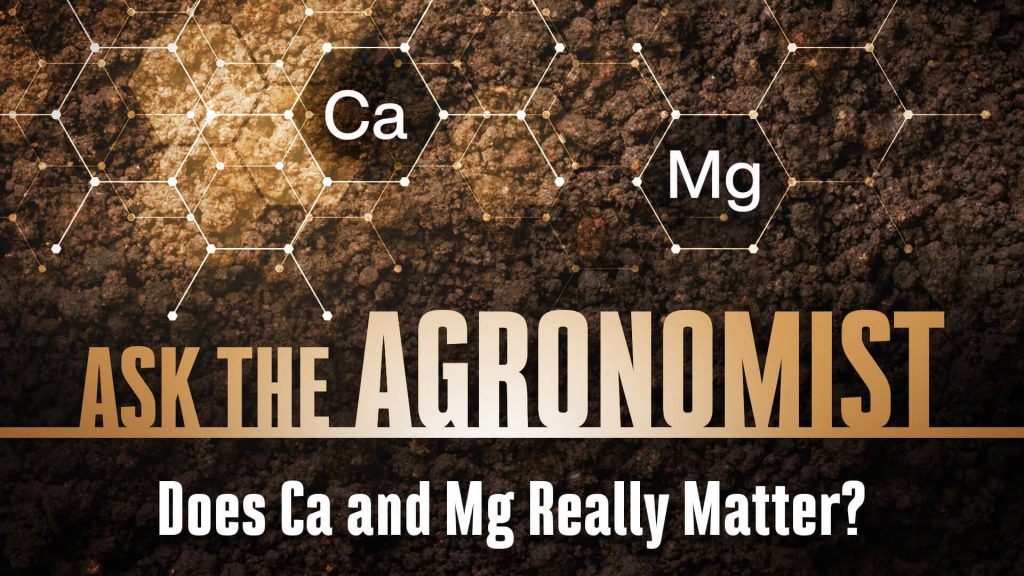 #AsktheAgronomist – Do Ca and Mg Really Matter?