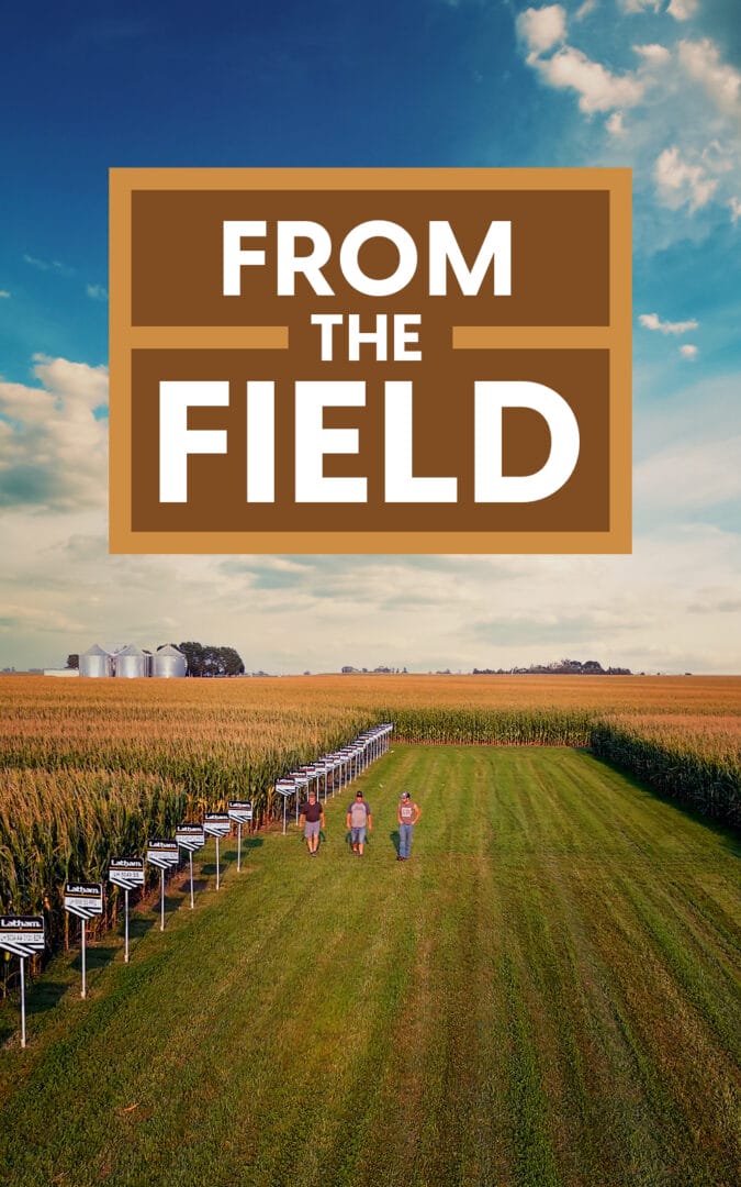 From the Field hero image