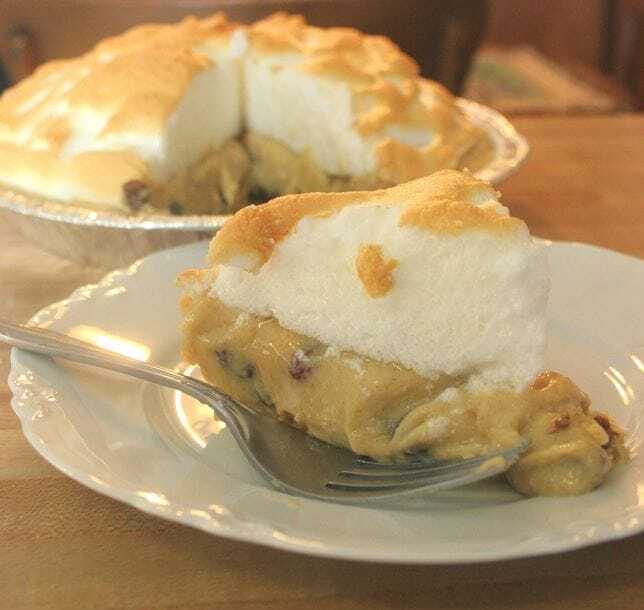 A slice of Sour Cream Raisin Pie