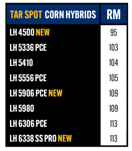 Tar Spot Hybrids