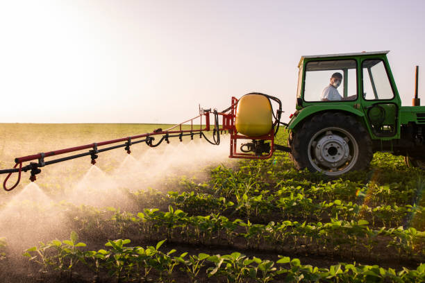 Timing Your Spray for Maximum Yield